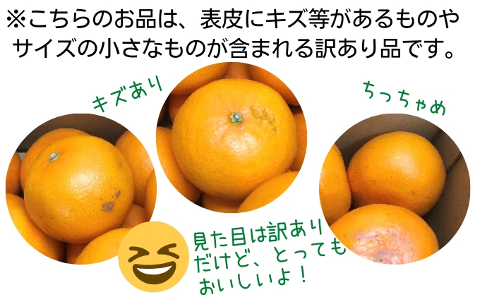 《訳あり》 せとか 約3kg 甘い みかん お取り寄せ  果物 くだ