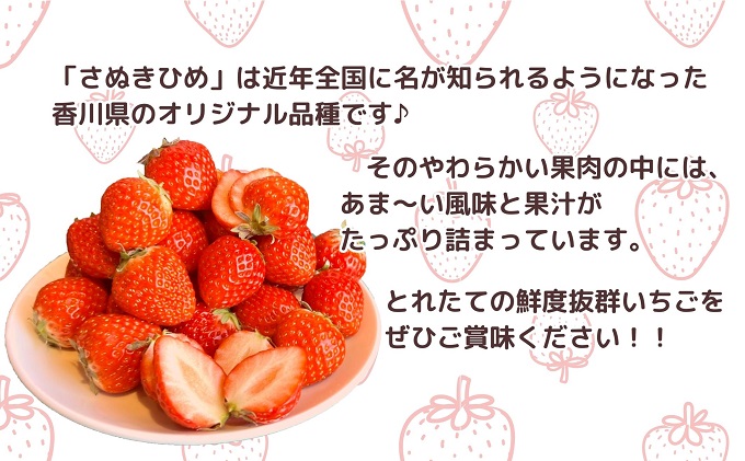 【2026年1月中旬より順次発送】秀品！さぬきひめ　4パック