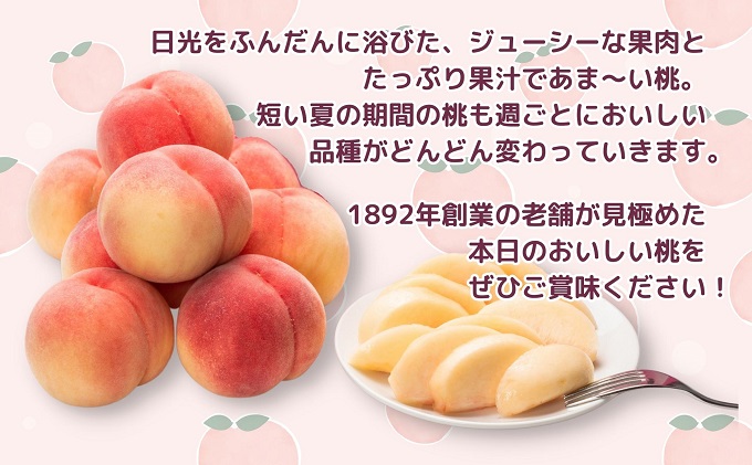 【2026年先行予約】特秀品！桃　約4kg（12～16玉） 果物 フル