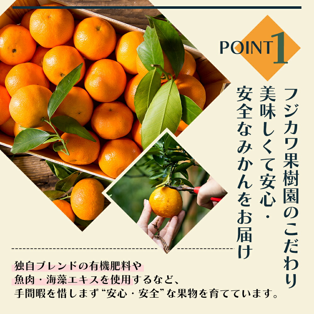 2026年先行予約 味自慢！讃岐 しらぬひ　約3kg 果物類 みかん 柑橘類 デコポン