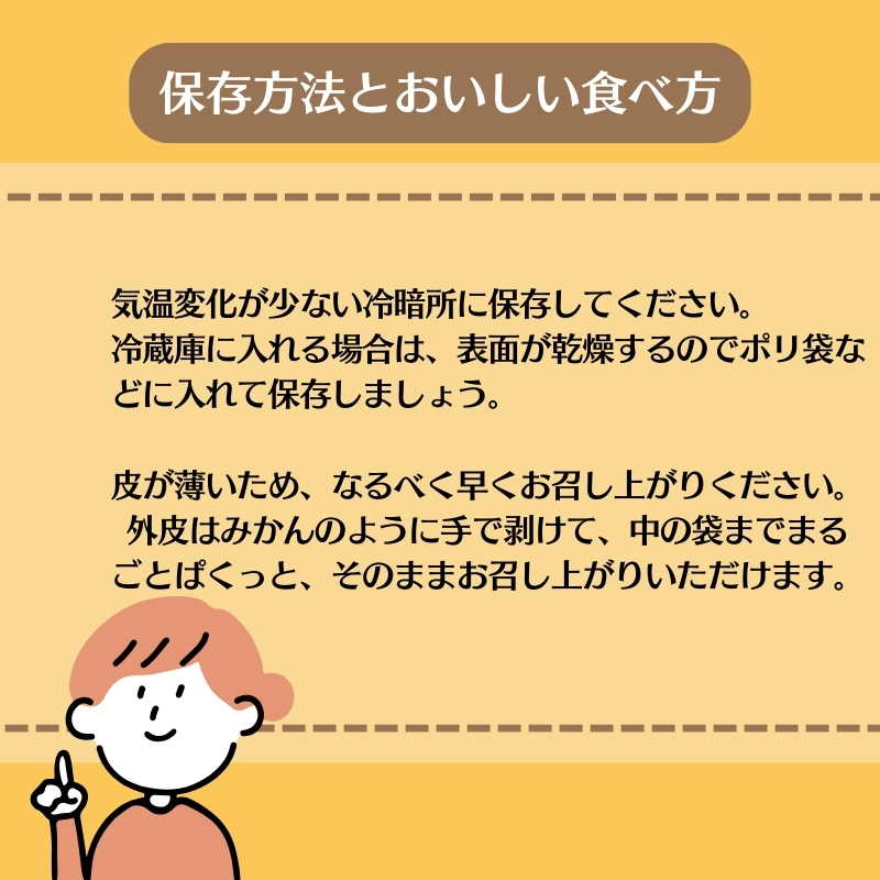 2026年先行予約 はるみ 約5kg 果物類 柑橘類 フルーツ みかん デコポン