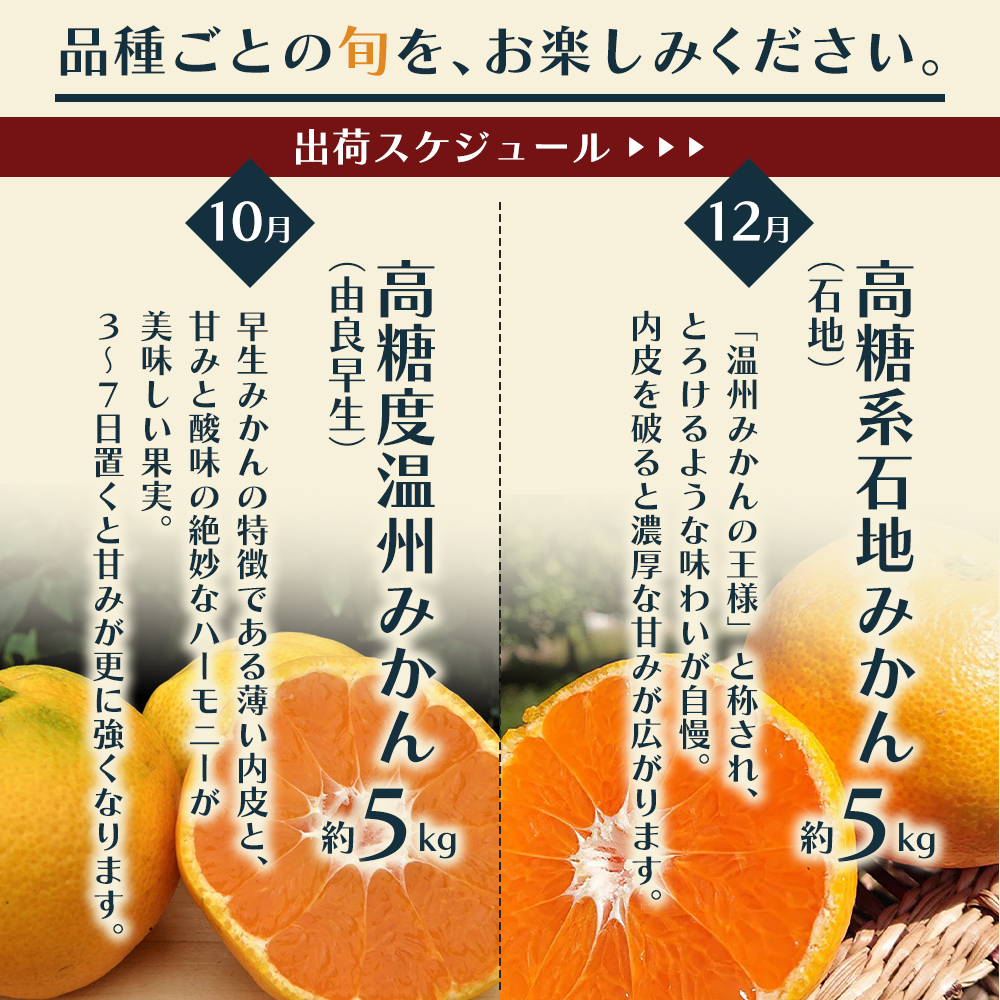 【6回頒布会】フジカワ果樹園オリジナル・新季節の柑橘セット