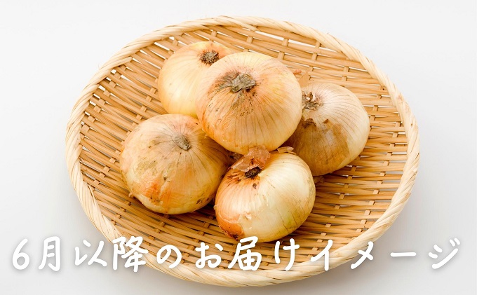 観音寺産 採れたての たまねぎ　約6kg