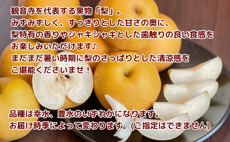 【2025年先行予約】特秀品！観音寺の梨（豊水・南水）約2kg 果物 フルーツ デザート おやつ 食後 国産 日本産 産地直送 みずみずしい シャキシャキ