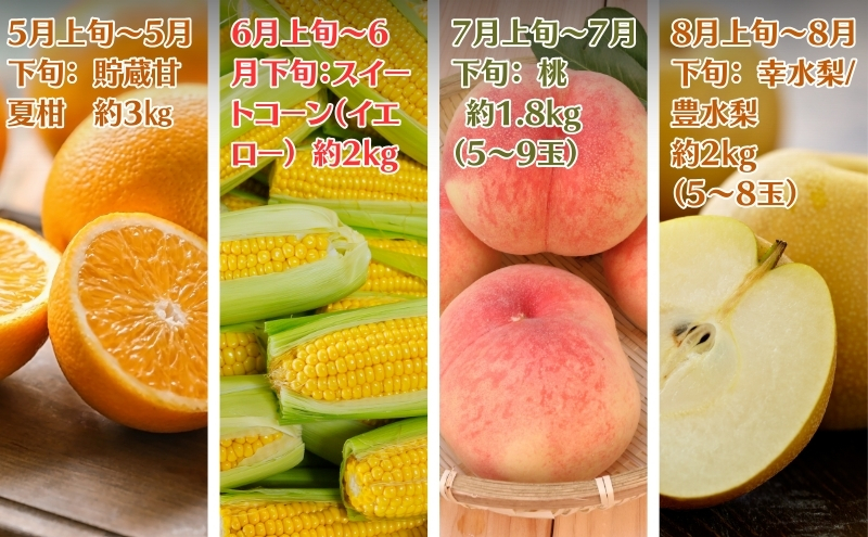 【2025年受付】ご家庭用 食べきり 旬菜旬果フルーツ定期便 全12回