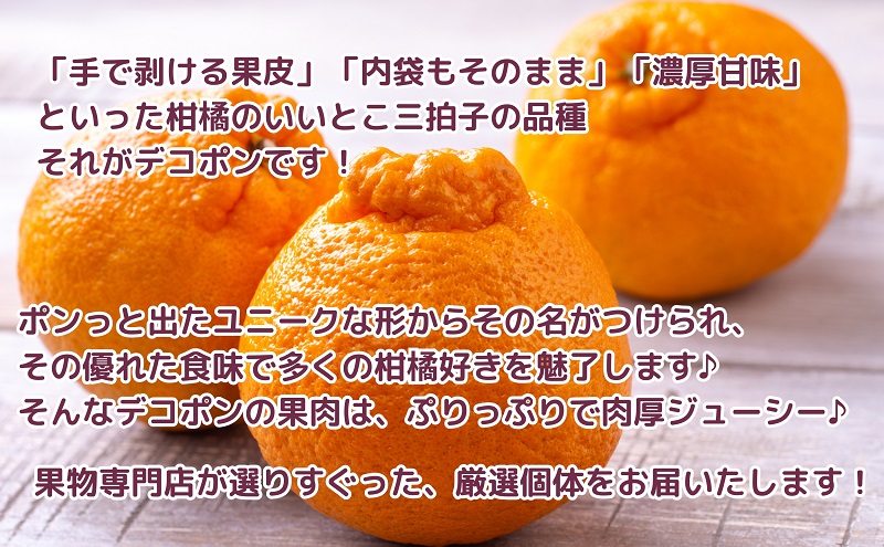 【2026年3月上旬より順次発送】厳選！濃厚ぷりっぷり「デコポン」約3kg フルーツ デザート 甘い 果物類 みかん 柑橘類 手で剥ける 果皮 甘味 果肉 肉厚 ジューシー 専門店 美味しい