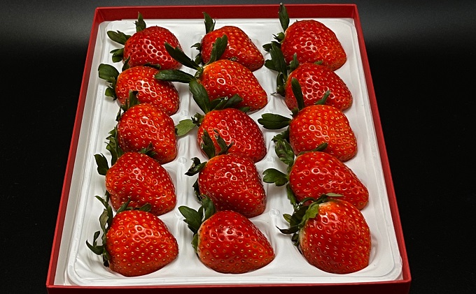 福田さんちのイチゴ(さぬきひめ) 3L サイズ 400g以上 ギフトボックス１箱【配送不可：北海道・沖縄県・離島エリア】苺 農園直送 いちご採れたて直送 果物類