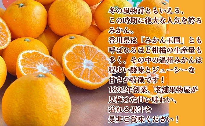【2025年11月上旬より順次発送】極撰！温州みかん　約10kg 果物 柑橘 フルーツ 程よい酸味 ジューシー 甘い 国産 日本産 冬の味覚 冬の果物 冬のフルーツ