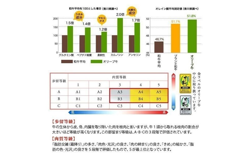 オリーブ牛上すき焼き肉 1.2kg（400g×3） お肉 牛肉 黒毛和牛 