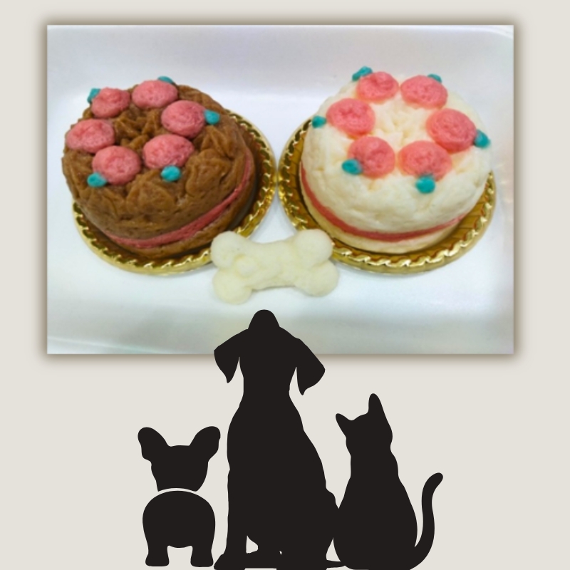 ペット用 おさかなDEケーキ (2個) ペットフード ペット用品 