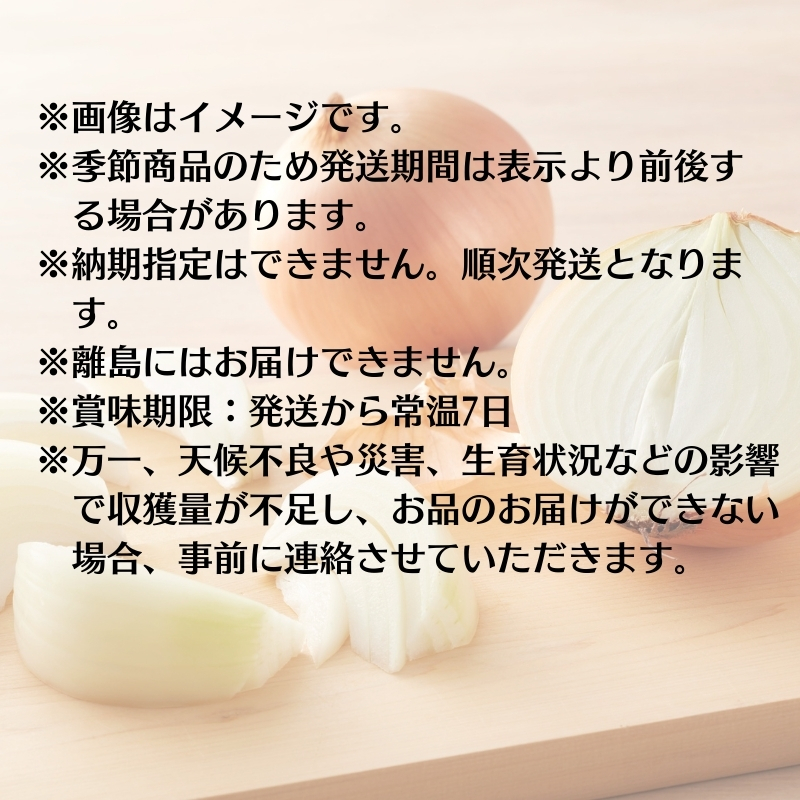 極早生玉ねぎ 約10kg