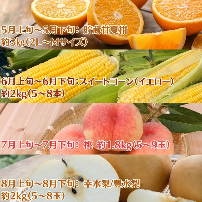 【2026年受付】ご家庭用 食べきり 旬菜旬果フルーツ定期便 