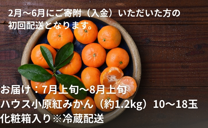 【2026年受付】 観音寺市からの特産フルーツ 定期便 年間3回