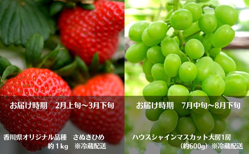 【2026年受付】 観音寺市からの特産フルーツ 定期便 年間4回