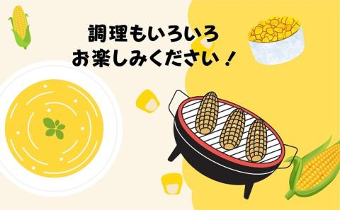 スイートコーン おおもの 5～6本