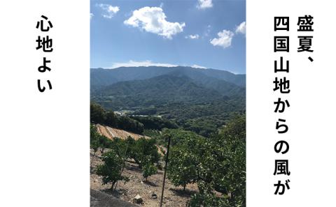 果樹園がつくる 無添加 ゆら100％ストレートジュース（単品）