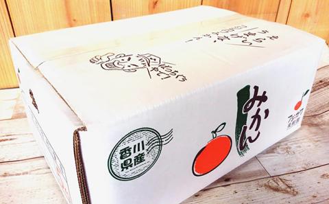 2025年秋よりお届け フジカワ温州みかん 約5kg フルーツ 果物類 柑橘類 ミカン 蜜柑 くだもの