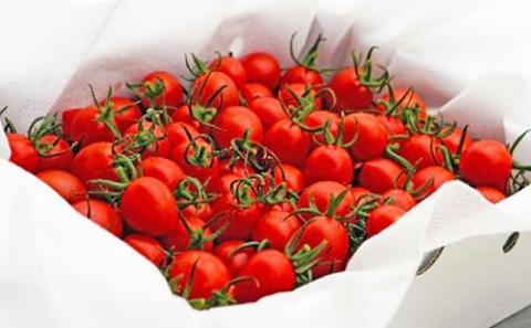 トマト嫌いが作ったあま～いミニトマト『とまこひめ』約1kg  冷蔵便配送