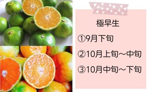 【7回頒布会】～フジカワ果樹園産地直送便～香川県産・彩り温州みかんセット