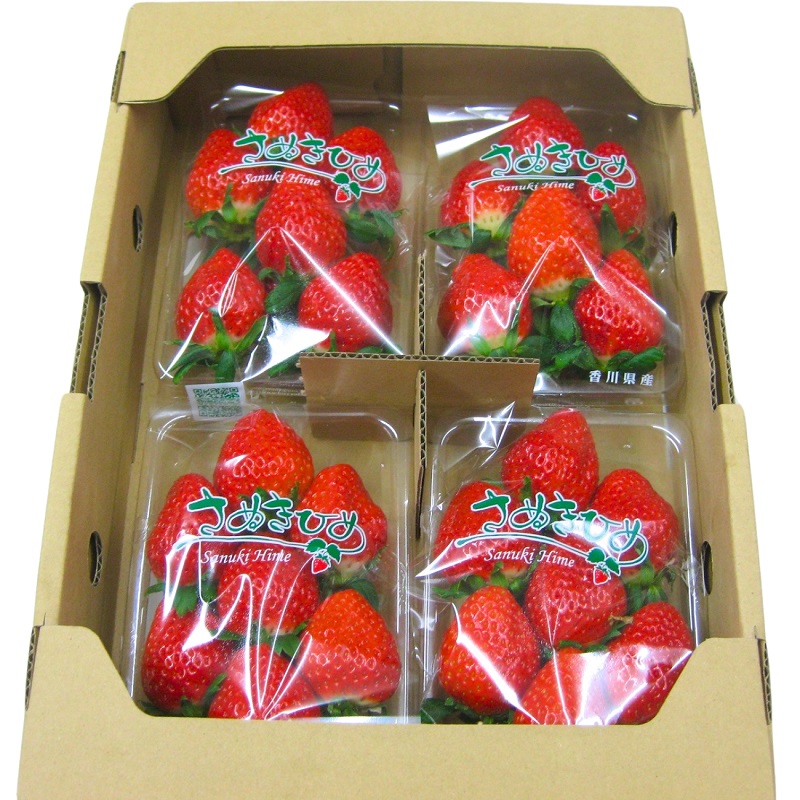 【2月より発送開始】いちご「さぬきひめ」約2kg　【配送不