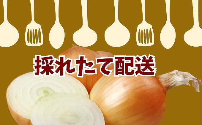 観音寺産 採れたての たまねぎ　約6kg（2ヵ月連続お届け） 