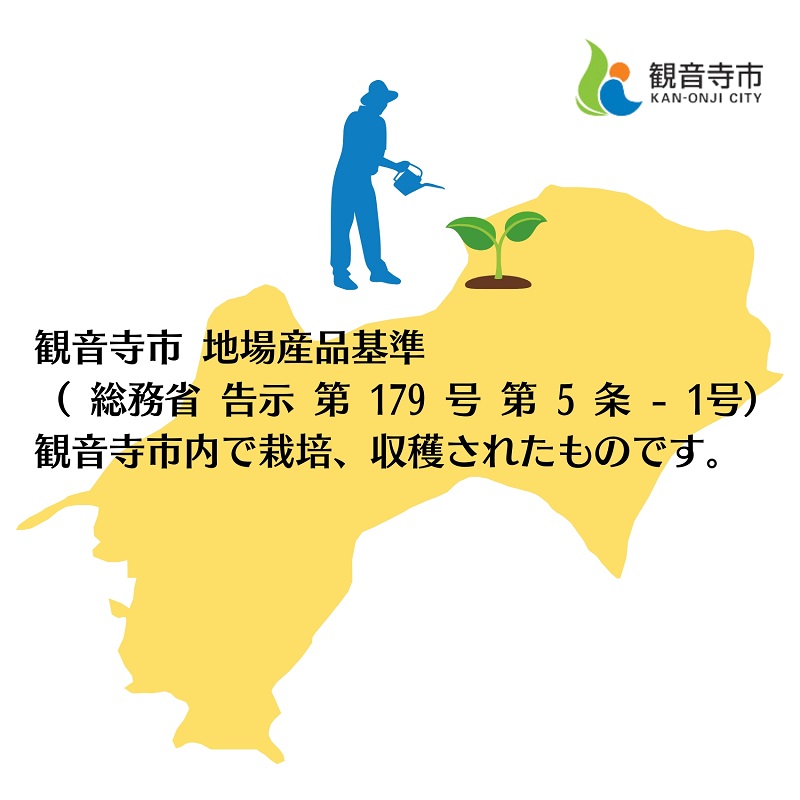 《訳あり》 せとか 約3kg 甘い みかん お取り寄せ  果物 くだ