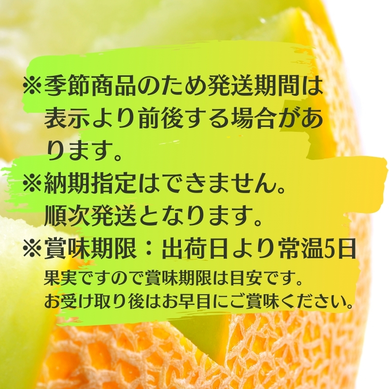 銭形メロン（アールス）1玉　約1.3kg 化粧箱入り フルーツ 