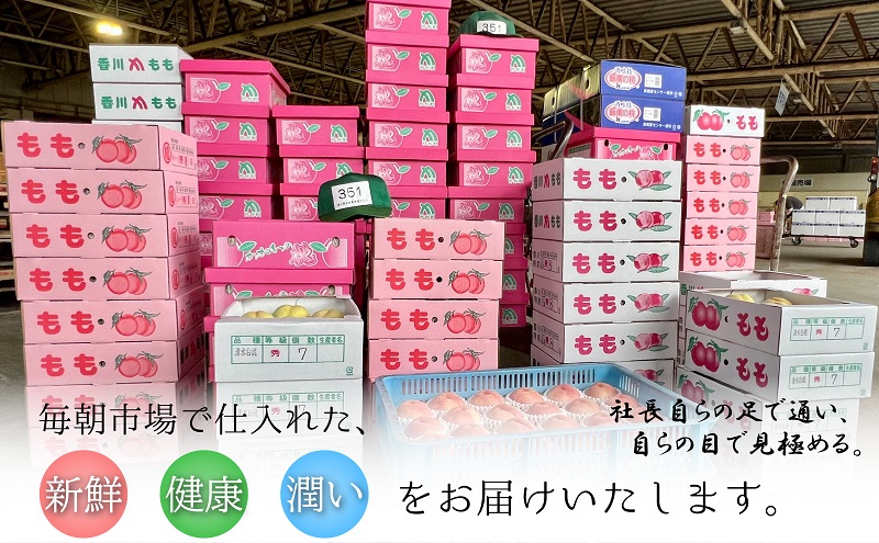 【2026年6月下旬より順次発送】特秀品！桃　約2kg（6～8玉） 