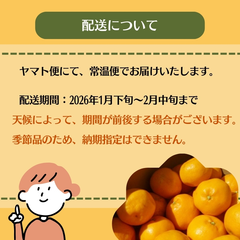 2026年先行予約 はるみ 約3kg みかん 柑橘類 果物 フルーツ