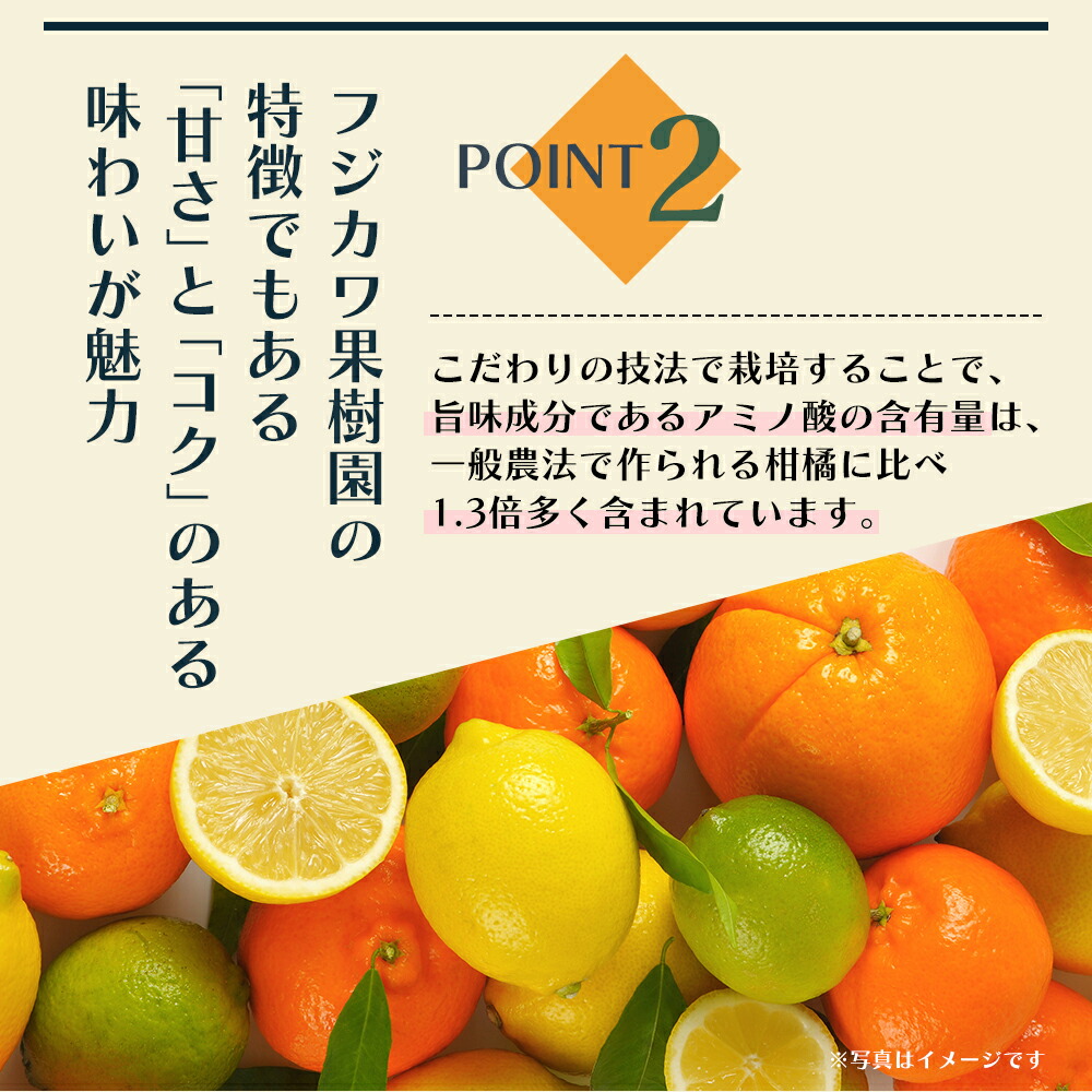 2026年先行予約 味自慢！讃岐 しらぬひ　約3kg 果物類 みかん 柑橘類 デコポン
