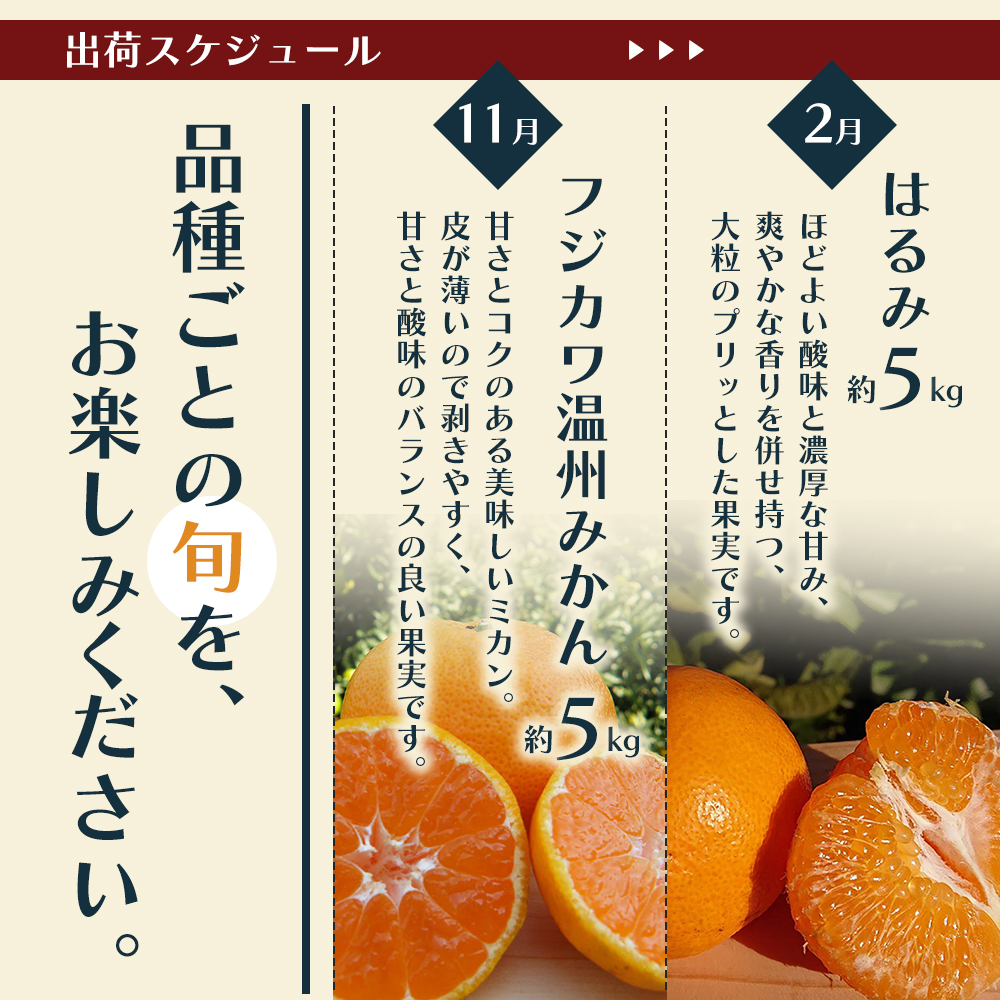 定期便 5回 みかん フジカワ果樹園オリジナル・新季節の柑橘セット