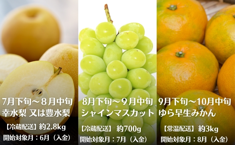 【2025年受付】 観音寺からのフルーツ定期便 年12回