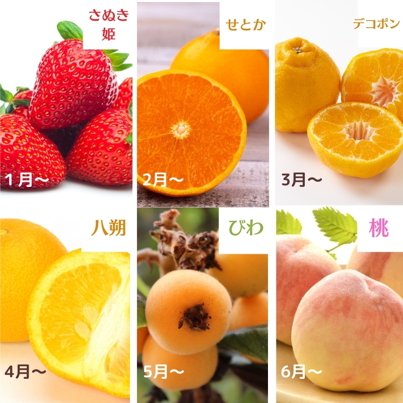 四季折々旬味覚！12ヶ月連続単品定期便♪