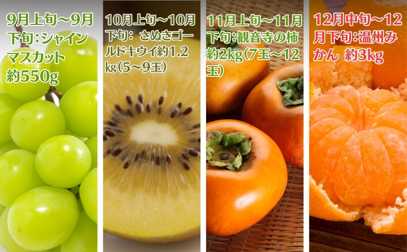 【2025年受付】ご家庭用 食べきり 旬菜旬果フルーツ定期便 全12回