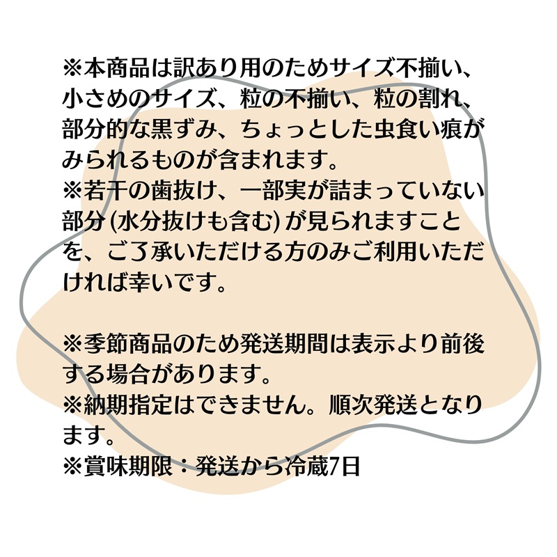ご家庭用 細物 ホワイトコーン 約3.5kg とうもろこし 野菜