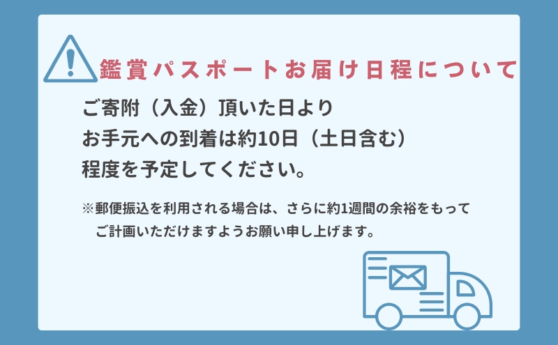 瀬戸内国際芸術祭2025作品鑑賞パスポート1枚（オールシーズン) チケット 瀬戸芸 現代美術 趣味