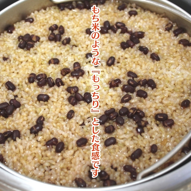 長岡式・冷凍・酵素玄米ごはん 150g×32個セット  玄米 ごは