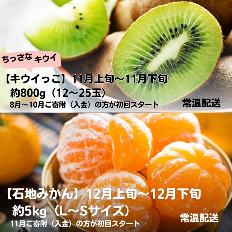 【2026年受付】 観音寺市からの特産フルーツ 定期便 年間6回