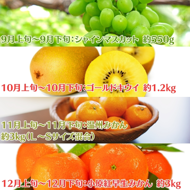 【2026年受付】ご家庭用 食べきり 旬菜旬果フルーツ定期便 