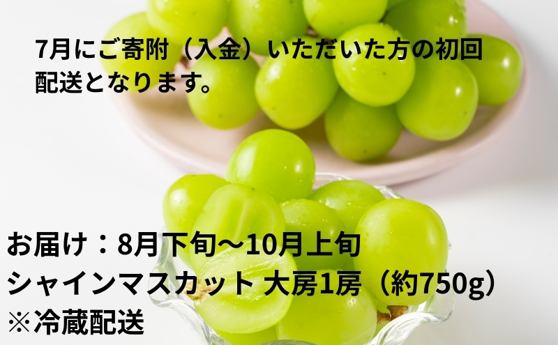 【2026年受付】 観音寺市からの特産フルーツ 定期便 年間3回
