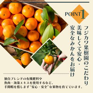 頒布会 彩り柑橘 8回定期便