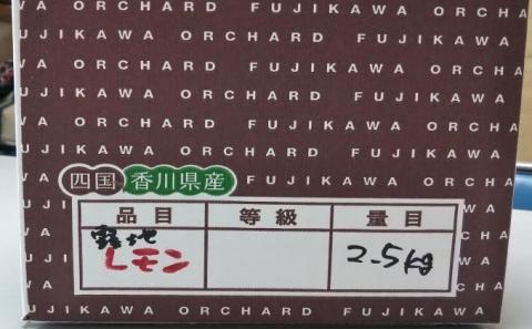 2025年お届け イエローレモン（露地栽培）約2.5kg 果物類 柑橘類 柑橘 檸檬