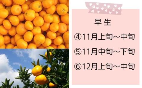 【7回頒布会】～フジカワ果樹園産地直送便～香川県産・彩り温州みかんセット