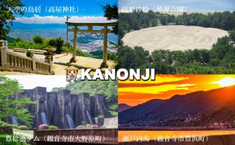 【９９％除菌・24時間抗菌・エンボスタイプ】流せるトイレクリーナー20枚　40個セット（便器・便座に/トイレの壁・床に/ミントの香り)