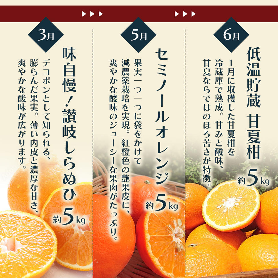 みかん 定期便 5回 フルーツ フジカワ果樹園オリジナル（新
