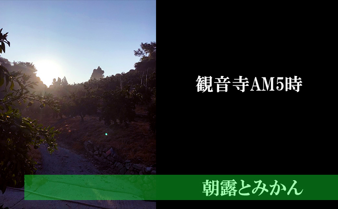 果樹園がつくる無添加　ゆら100％ストレートジュース3本セ