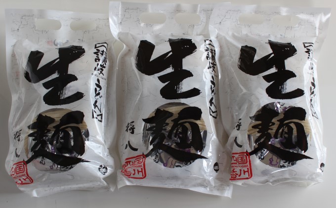 讃岐うどん つゆ付（10人前×3袋）※配送不可：沖縄・離島 