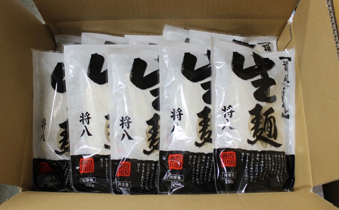 讃岐うどん 麺のみ 20人前【配送不可：沖縄・離島】 麺類 