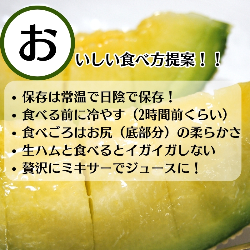 銭形メロン 2玉 化粧箱入り 約2.5kg　［アールスメロン］ 果
