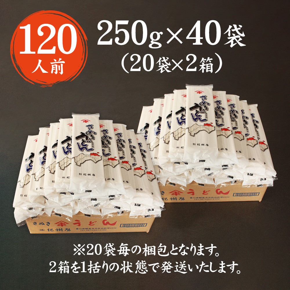 紀州屋 讃岐 うどん 大容量 120人前（3人前×40袋） 乾麺 本場